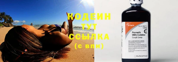 ECSTASY Белокуриха