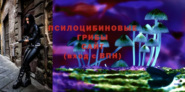 ECSTASY Белокуриха