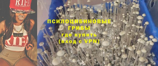 ECSTASY Белокуриха