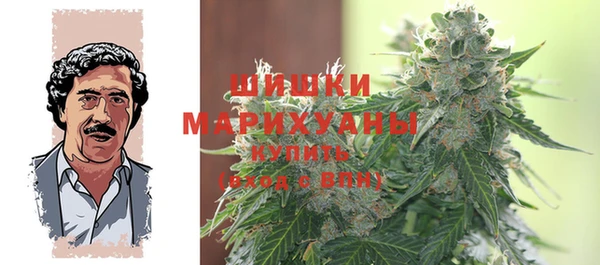 ECSTASY Белокуриха