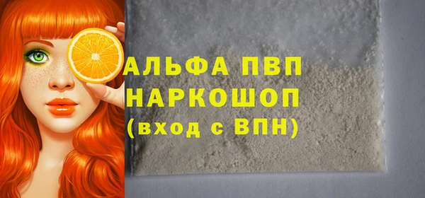 ECSTASY Белокуриха
