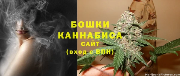 ECSTASY Белокуриха