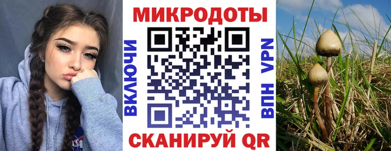 Галлюциногенные грибы ЛСД  Чкаловск 